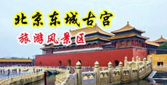 3p淫妇中国北京-东城古宫旅游风景区
